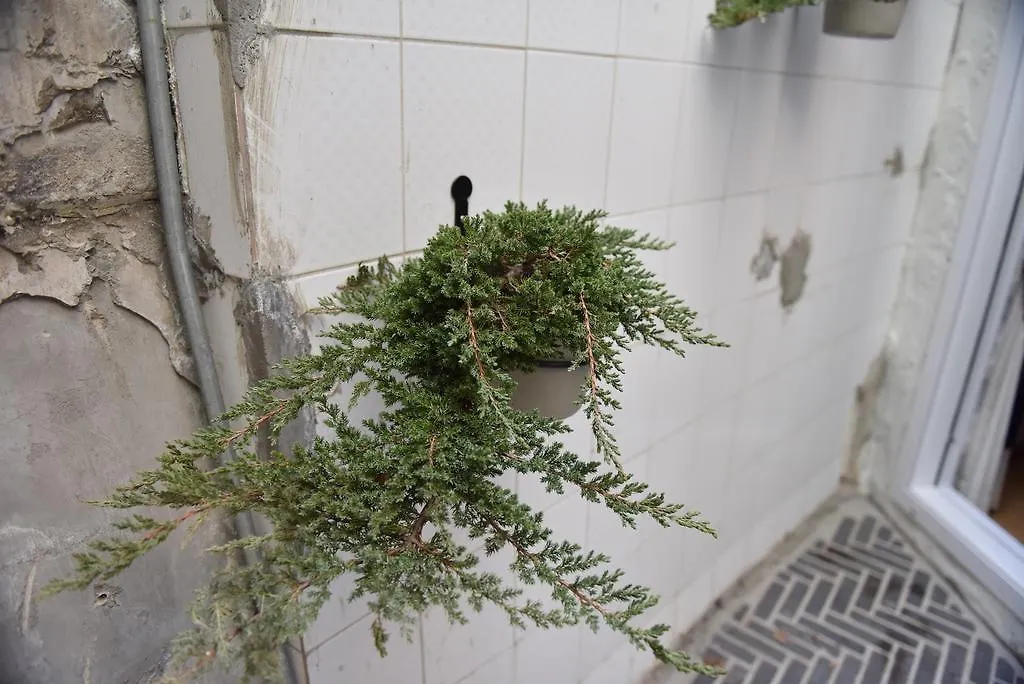 Dokebi Cottage Seoul Apartment